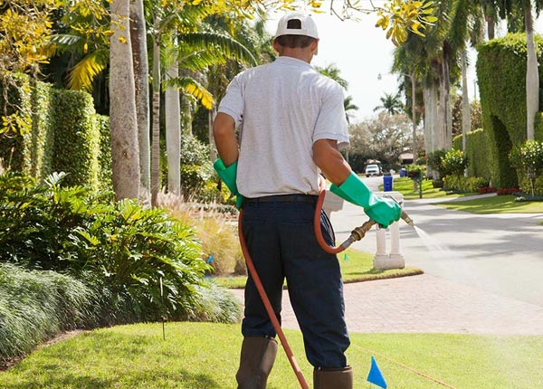 About Eldon IA Pest Control